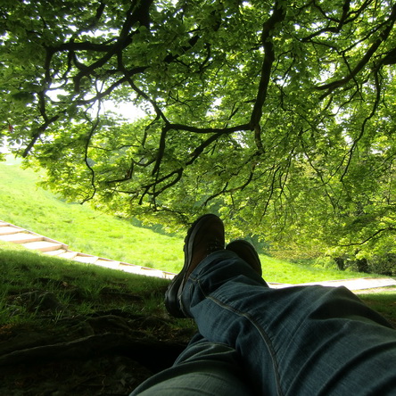 Onder de beuk, Glastonbury 2012