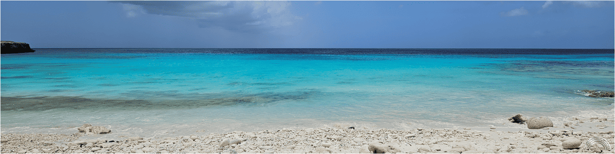 welkom bij Carin Wennink welkom bij Carin Wennink