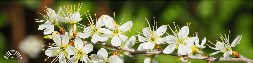 welkom bij Carin Wennink