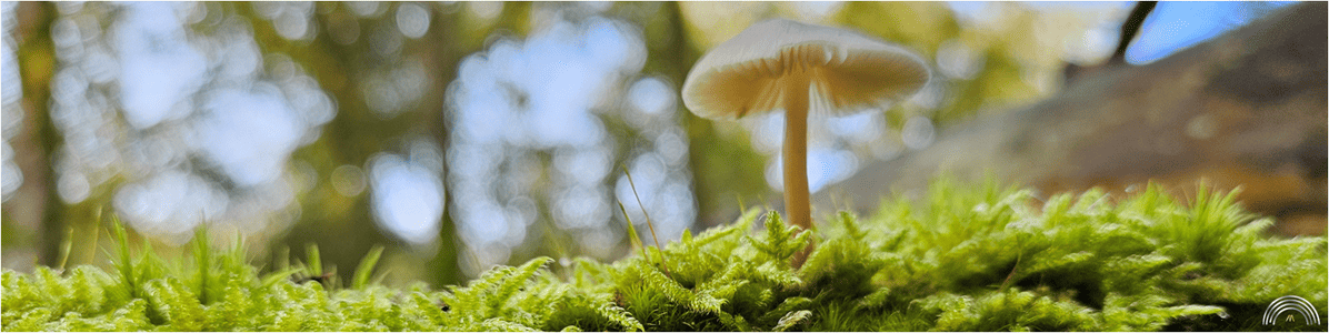 welkom bij Carin Wennink welkom bij Carin Wennink