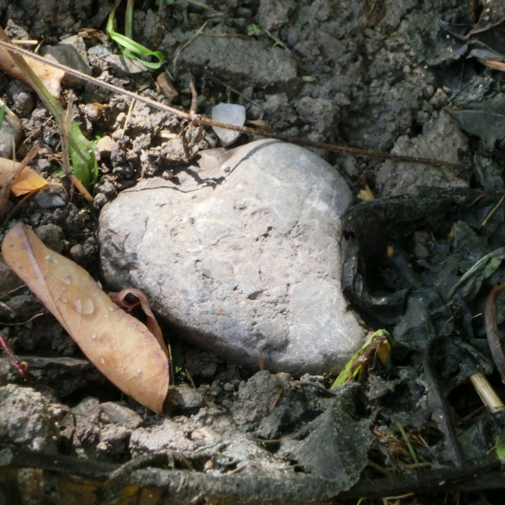 Gregg Braden HeartBrain Coherence Gregg Braden HeartBrain Coherence