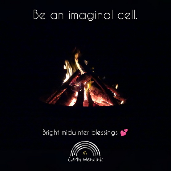 Be an imaginal cell