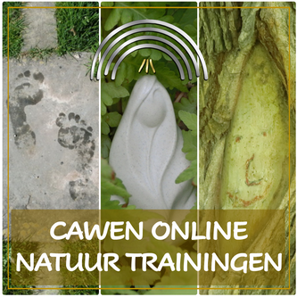 Cawen online natuurtrainingen