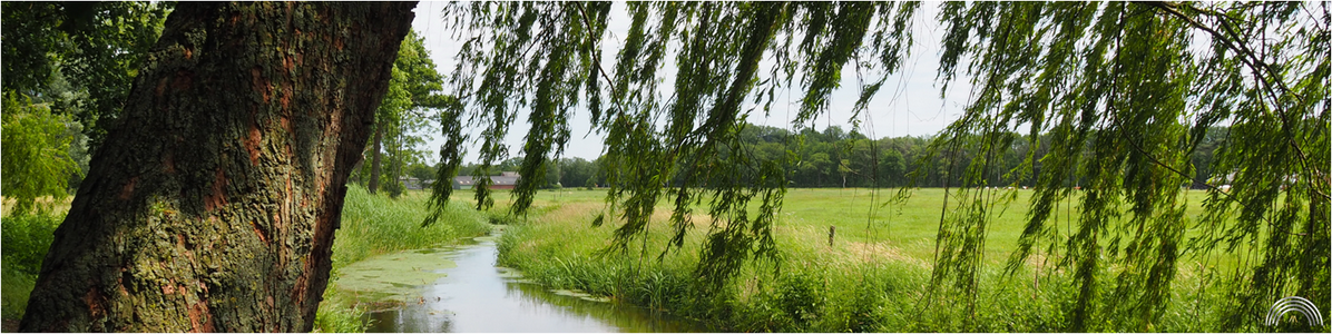 welkom bij Cawen