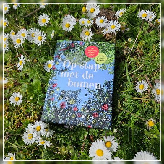 madeliefjes