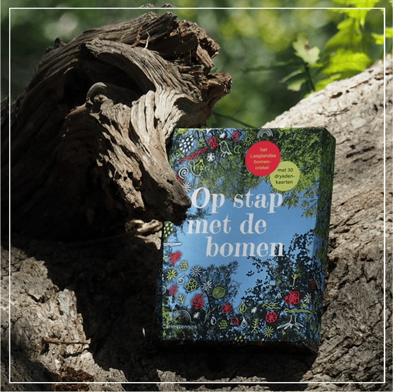 Op stap met de bomen